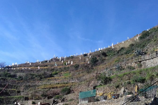 Cinque Terre unforgettable hiking experience - The First Stop: Corniglia and Beyond