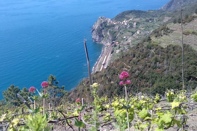 Cinque Terre unforgettable hiking experience - Considerations and Tips