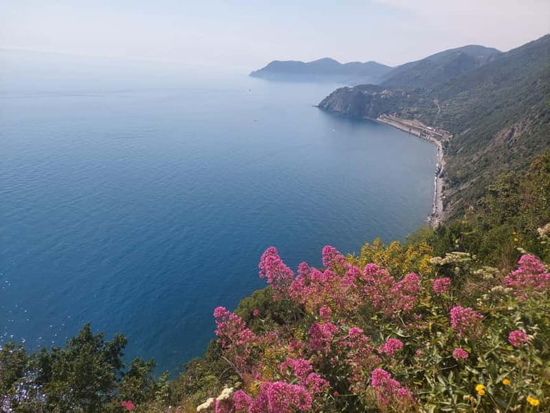 Cinque Terre Villages Walking panoramic tour - A Complete Look at the Cinque Terre Villages Walking Panoramic Tour