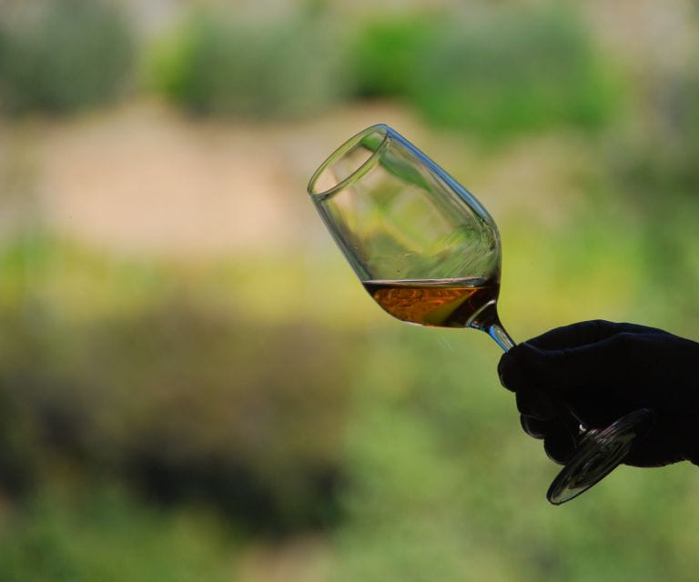 Cinque Terre: Wine Tasting in Monterosso - Key Points to Remember About This Experience