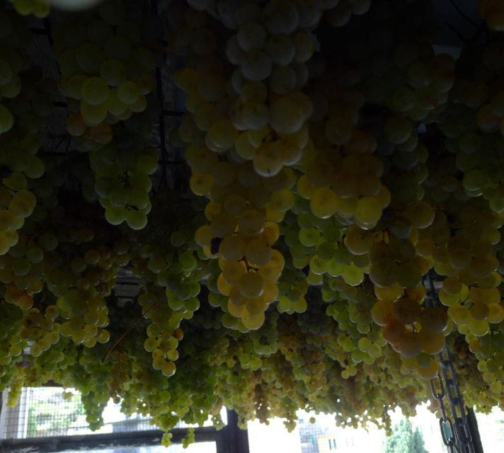 Cinque terre wine tour and tasting with the somelier - Final Thoughts: Is It Worth It?