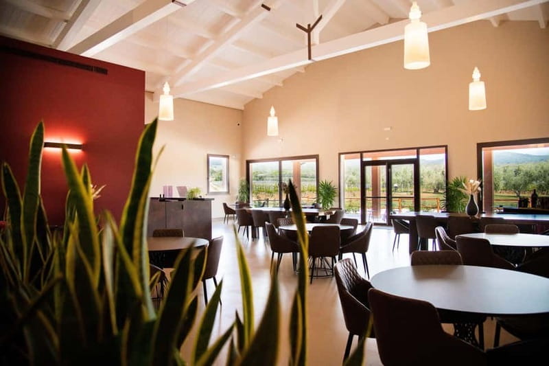 Cioccaie Tour & Monovarietal Wines Tasting - Key Points / Takeaways