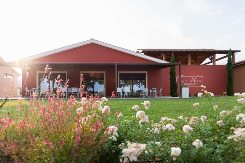 Cioccaie Tour & Monovarietal Wines Tasting - Who Will Love This Experience?