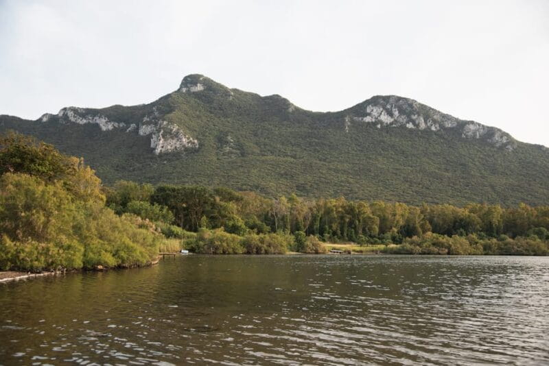 Circeo National Park:Guided kayak tour on the Lake Sabaudia - What to Expect from the Surroundings