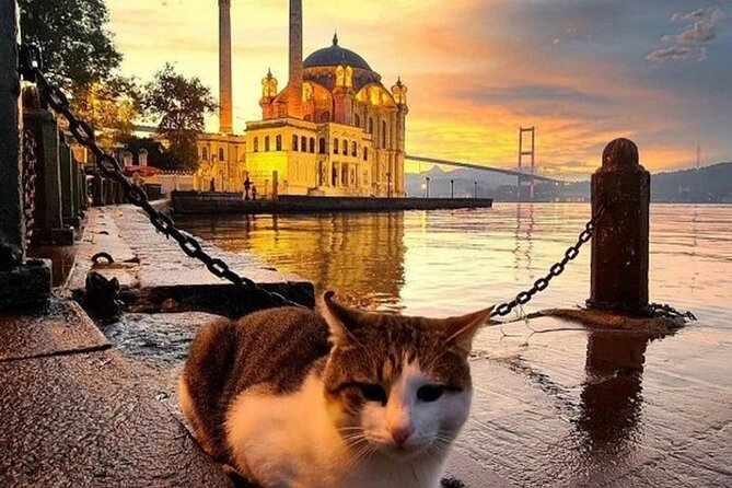Circle Istanbul (Extraordinary Istanbul) - Savoring Turkish Cuisine