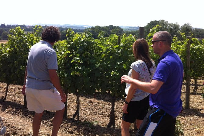 Cité de Carcassonne and Wine Tasting Private Day Tour from Toulouse - Scenic Stop at Castelnaudary and the Canal du Midi