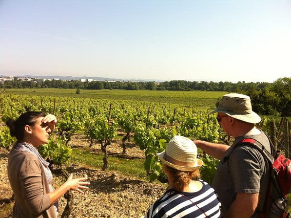Cité de Carcassonne and Wine Tasting Private Day Tour from Toulouse - Practicalities and Comfort