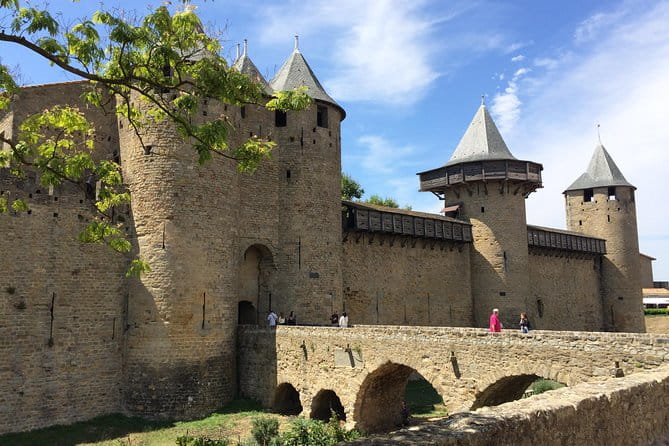 Cité de Carcassonne and Wine Tasting Private Day Tour from Toulouse - Who Will Love This Tour?