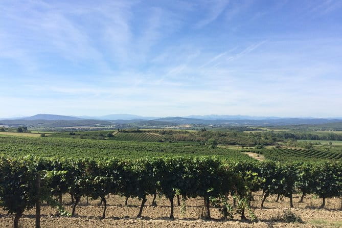 Cité de Carcassonne and Wine Tasting Private Day Tour from Toulouse - Price and Value Analysis