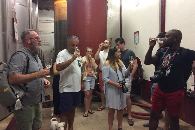 Cité de Carcassonne and Wine Tasting Private Day Tour from Toulouse - FAQ