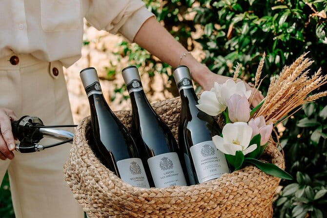 Citroën 2CV Burgundy rental and Tasting at the Château de Pommard - Logistics and Practicalities: What You Need to Know