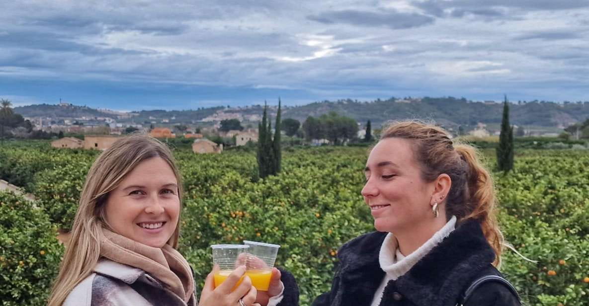 Citrus Treasures: Exploring Valencias Orange Grove - Activity Overview