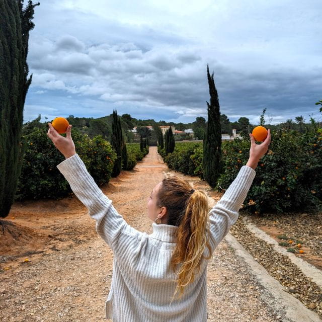 Citrus Treasures: Exploring Valencias Orange Grove - Wander Through Nature