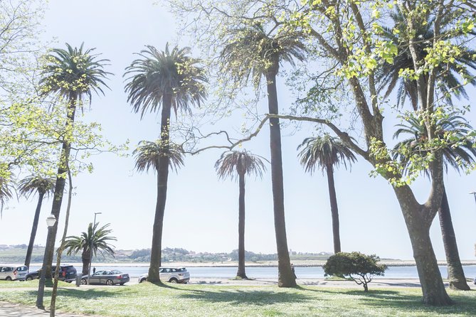 City Bike Rental in Porto - Operating Hours
