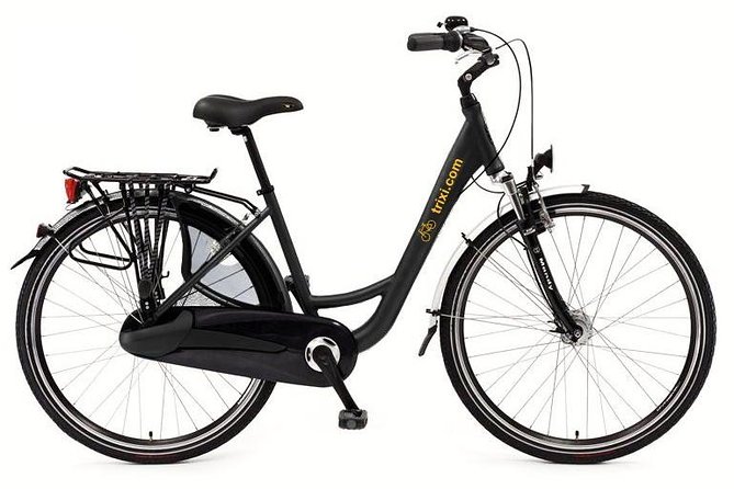 City Bike Rental With Phone Holder and Self Guided Tour - Reviews and Accolades