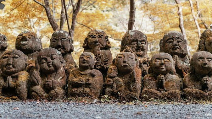 City Escape: Arashiyama Park Private Day Trip - Trekking to the Breathtaking Monkey Park