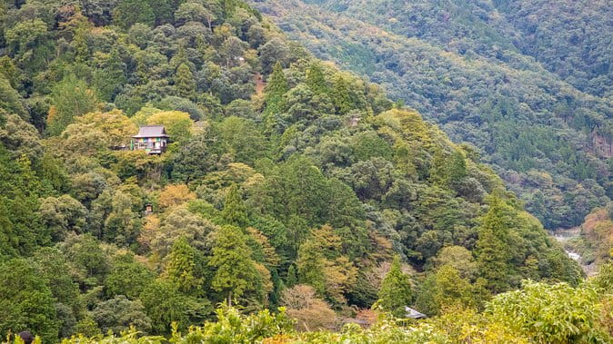 City Escape: Arashiyama Park Private Day Trip - Ensuring Carbon-Neutral Exploration