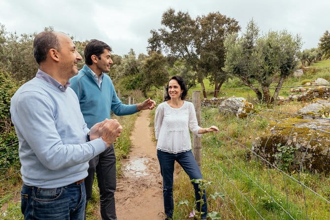 City Explorer: Évora Private Day Trip - Comfort and Convenience: What the Tour Includes