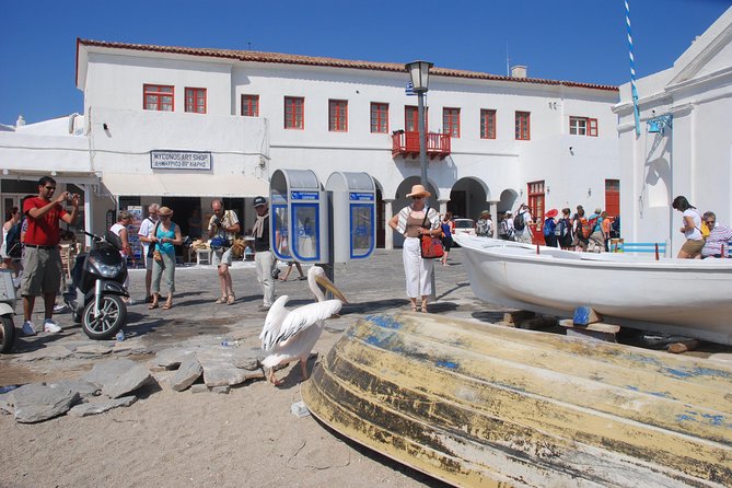 City & Island Tour - Pricing and Cancellation Policy