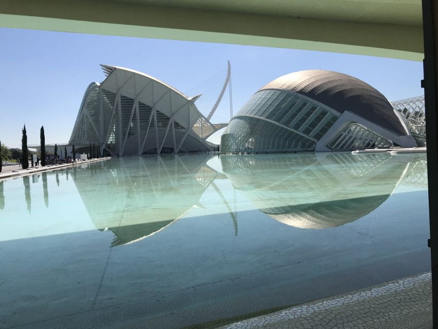 City of Arts & Sciences Tour on Bicycle, E-Bike or E-Step - Things To Know