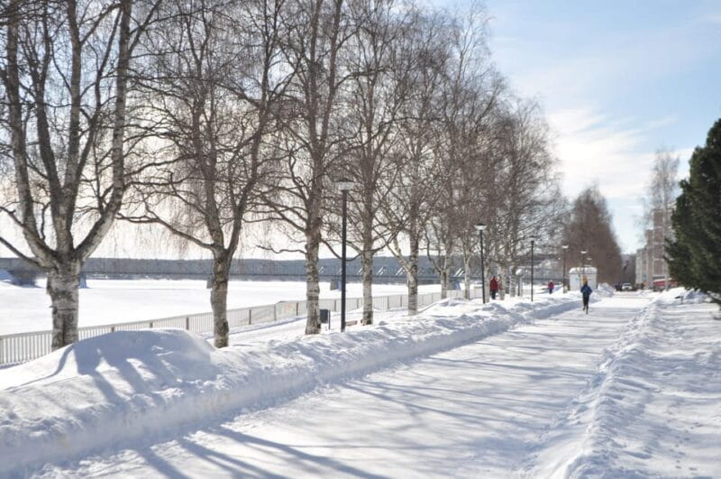 City tour and Santa Claus village visit in Lapland - Final Thoughts: A Practical, Friendly Tour for Arctic Explorers