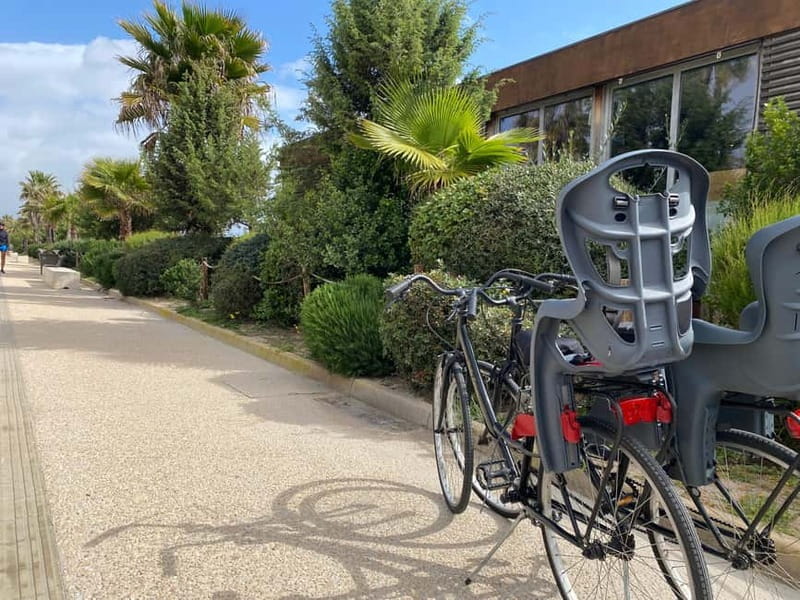 CITYBIKE/ easy Classic FOR 24 hours with Free delivery! - Key Points / Takeaways