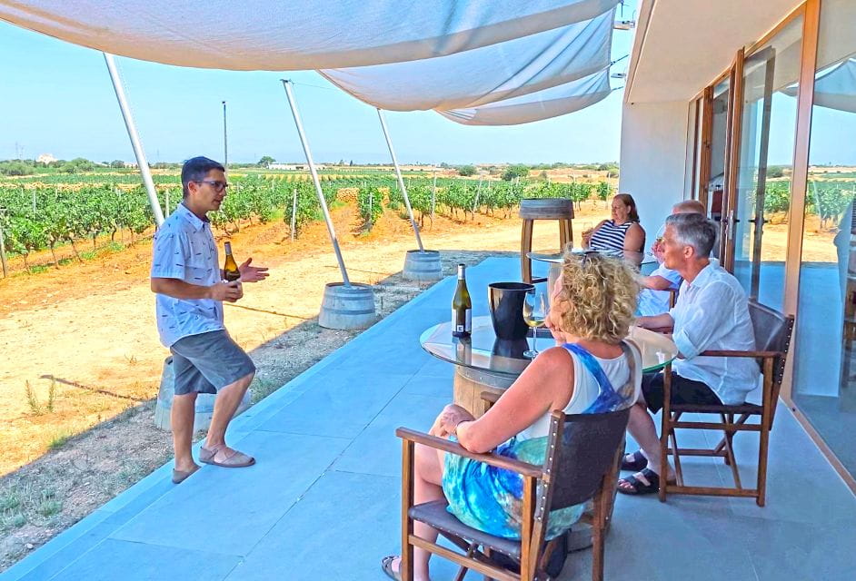Ciutadella De Menorca: Family Winery Tour With Wine Tasting - Experience Highlights