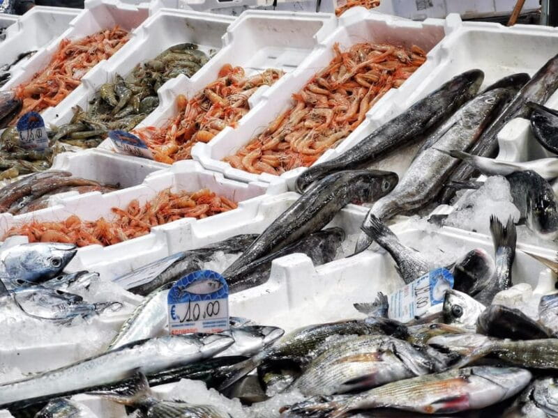 Civitavecchia: Historical and Culinary Walking Tour - The Journey Through Civitavecchia’s Historic Past