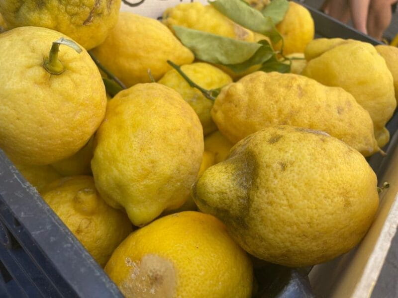 Civitavecchia: Market Tour and Cooking Class with Lunch - Why This Tour Is Perfect for Who?