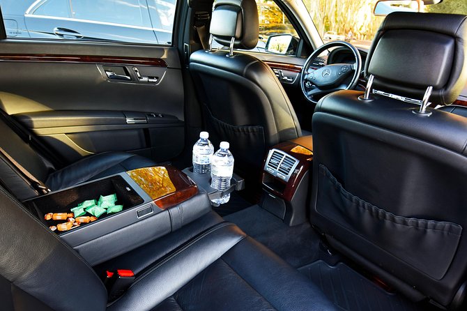 Civitavecchia Private Transfer: Civitavecchia Cruise Port to Central Rome - Luggage and Infant Policies