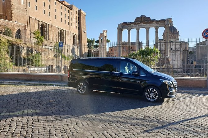 Civitavecchia Private Transfer: Civitavecchia Cruise Port to Rome Fiumicino Airport - Pricing and Group Size