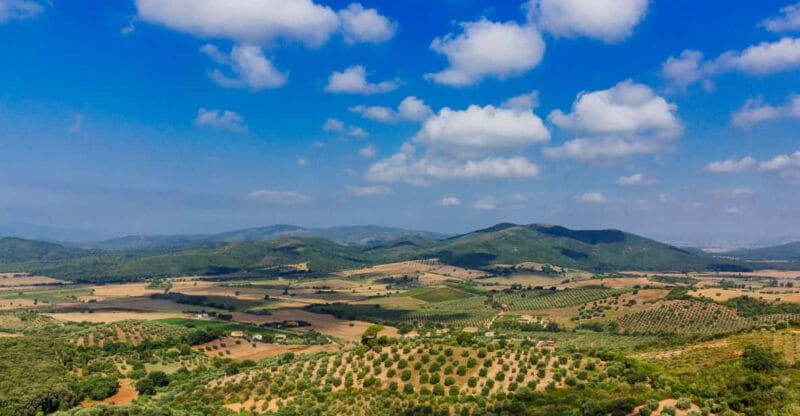 Civitavecchia: Tuscany Full-Day Guided Trip w/Wine Tasting - Discovering Tuscany in a Day: A Practical Guide