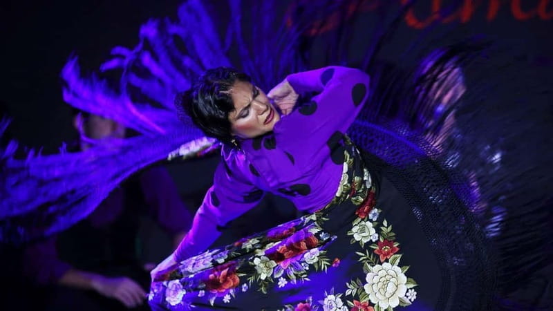 Claps Workshop in Tablao Flamenco Alma - Final Thoughts: A Night of Rhythm and Passion