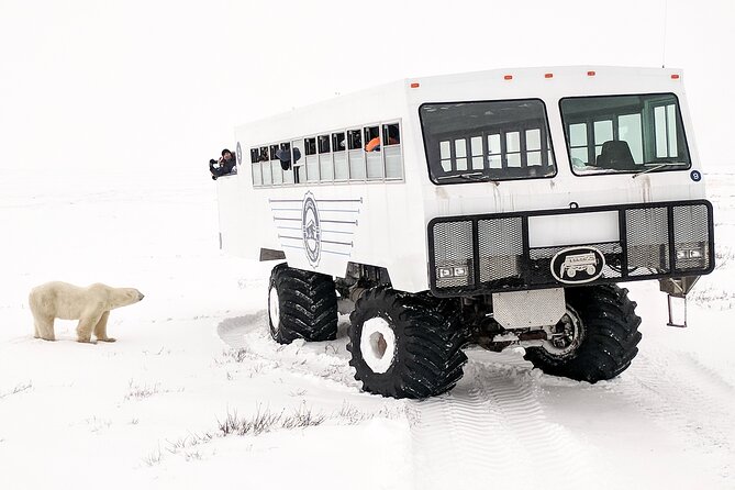 Classic 5 Night Churchill Polar Bear Adventure - Tundra Buggy Adventure