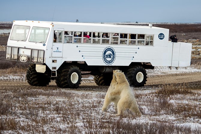 Classic 5 Night Churchill Polar Bear Adventure - Additional Information
