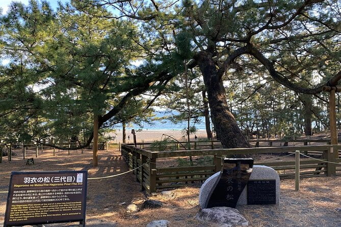 Classic Shizuoka With Mt.Fuji Viewing 1 Day Private Tour - Important Information and Policies