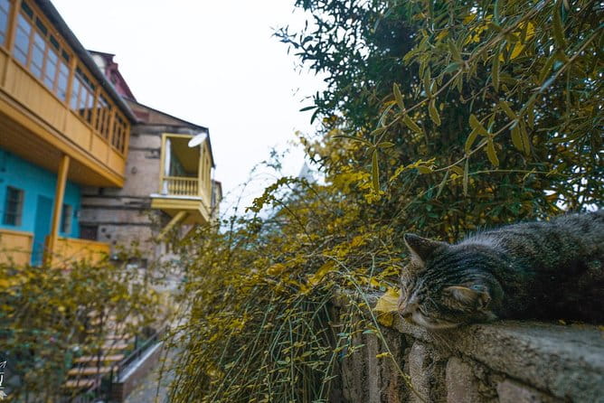 Classic Tbilisi Walking Tour - How This Tour Adds Value and Why It Works