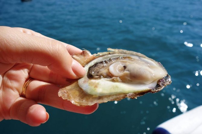 Classic Tour With Wine Tastings From Dubrovnik - Tour Logistics and Details