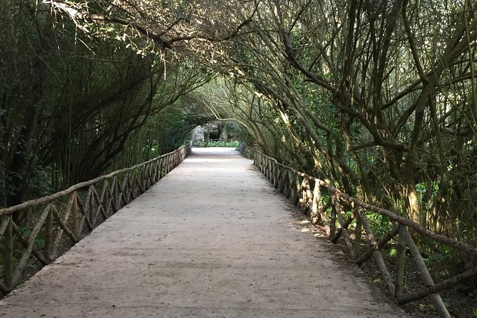 Classical Syracuse - Half Day Guided Tour - Cancellation Policy