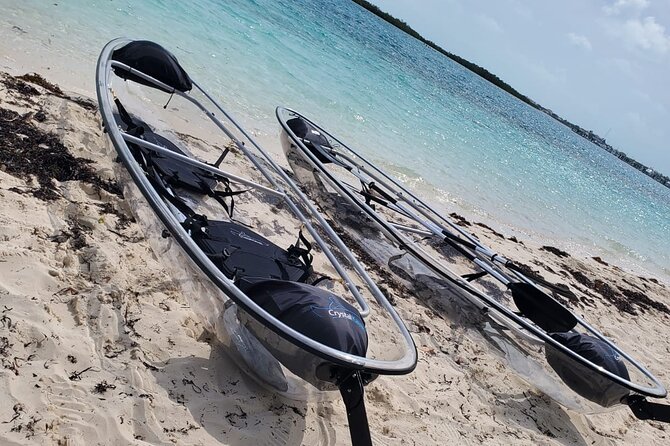 Clear Kayak Mangrove Eco Tour - Booking Information