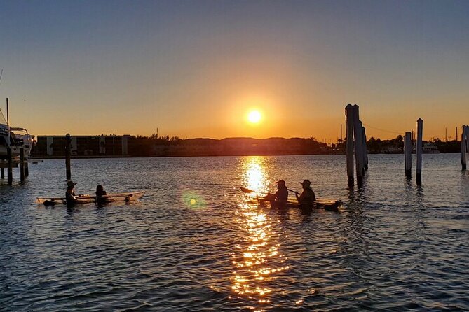 Clear Kayak Tour in Jupiter - Wildlife and Ecosystem