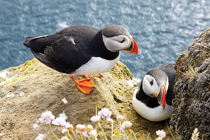 Cliffs of Moher and Burren Day Trip, Including Dunguaire Castle, Aillwee Cave, and Doolin From Galway - Panoramic Views of the Cliffs