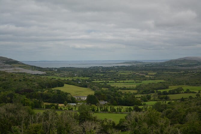 Cliffs of Moher and Burren Private Tour from Galway - Who Will Love This Tour?