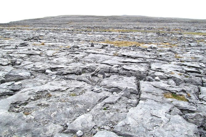 Cliffs of Moher, Galway - Private Shore Excursion - The Itinerary: What You’ll See and Do