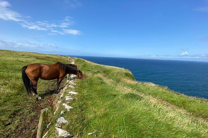 Cliffs of Moher Hiking Tour from Galway - Small Group - Who Will Love This Tour?