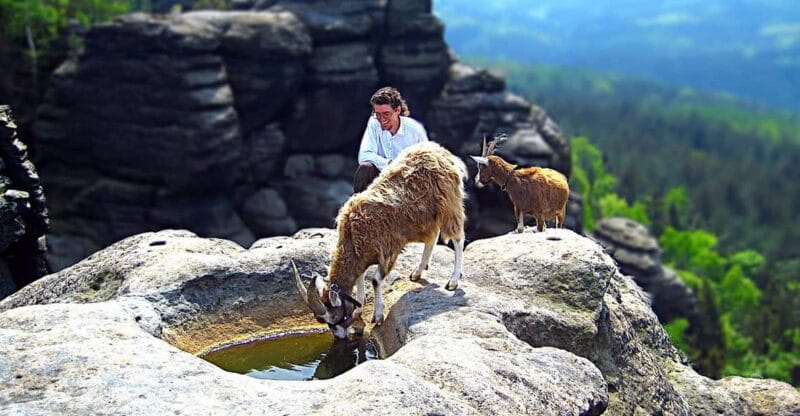 Climb the mountains together with goats - FAQs