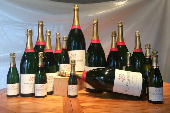 Clotilde Davenne wine and cheese pairing tasting in Chablis - Who Should Consider This Experience?