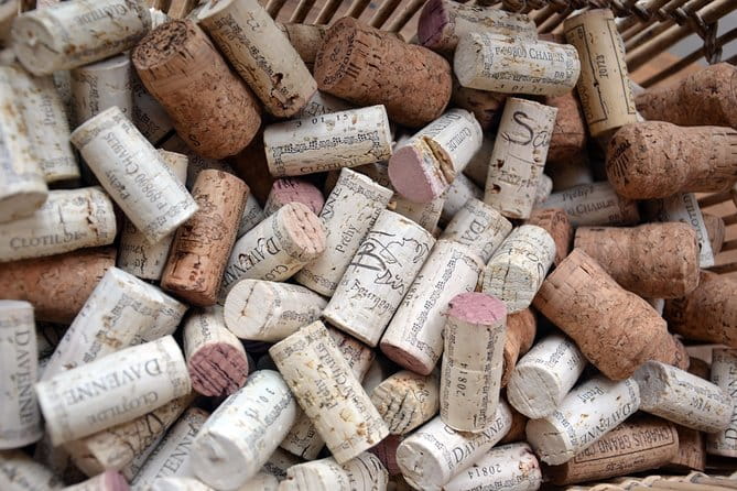 Clotilde Davenne wine and cheese pairing tasting in Chablis - Final Thoughts