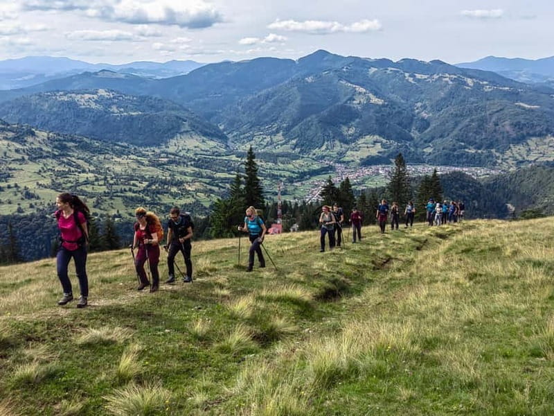 Cluj Napoca: Rodnei Mountains Full-Day Guided Hiking Tour - Getting to the Heart of the Experience
