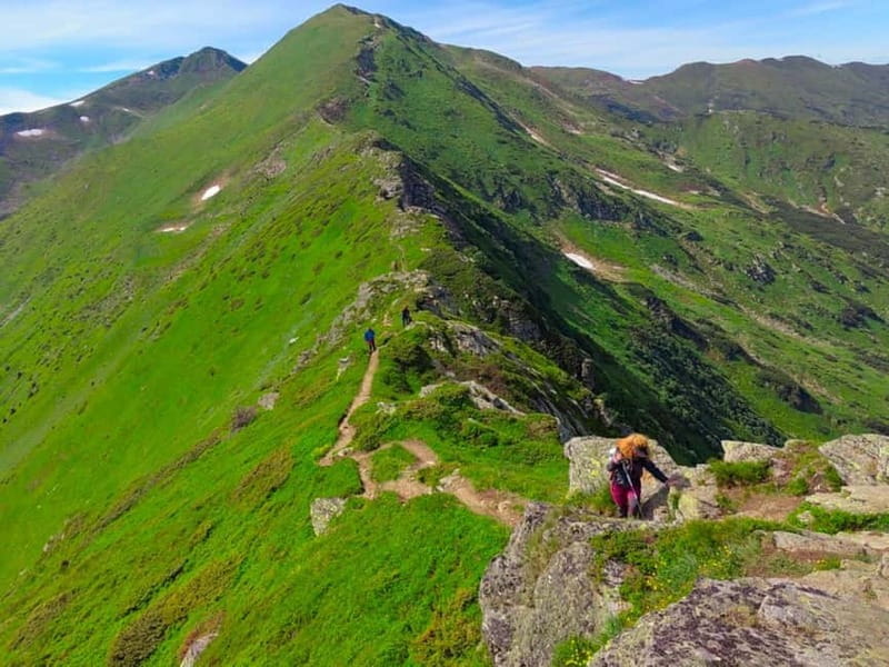 Cluj Napoca: Rodnei Mountains Full-Day Guided Hiking Tour - FAQ